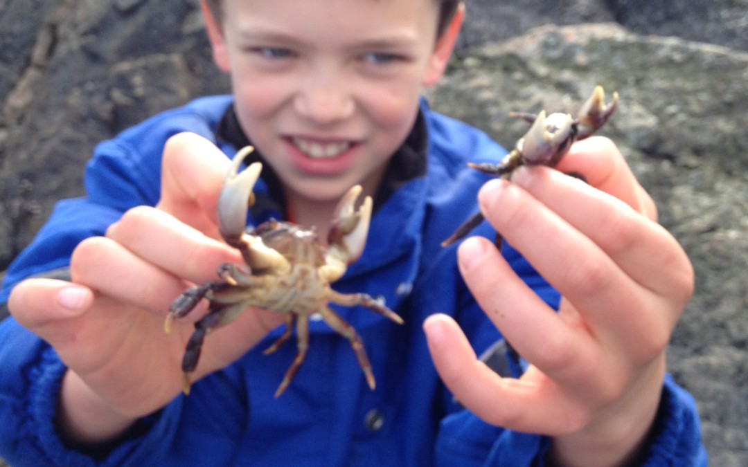 Keefer and two crabs