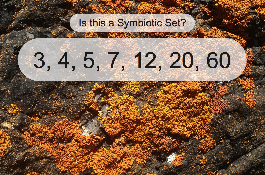 Lichen Puzzles – multiplication and subtraction
