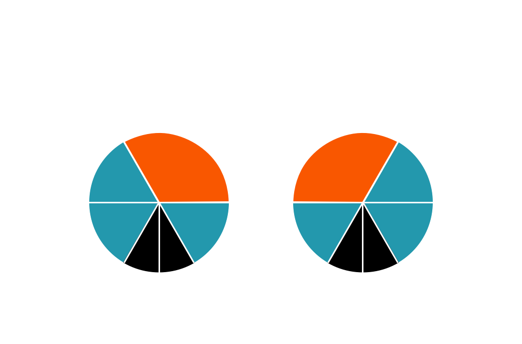 Plastic Fraction Circles