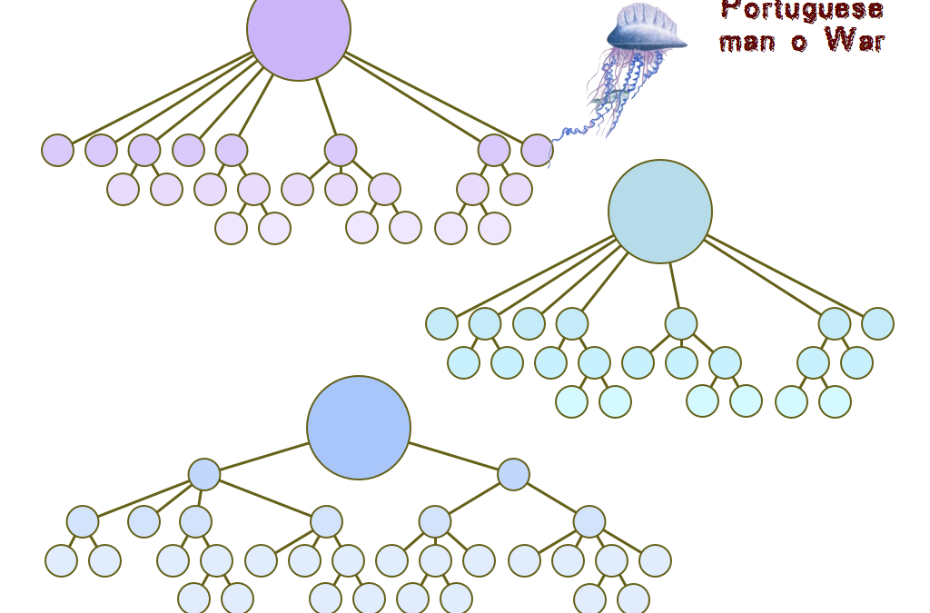 Portuguese Man o’ War (addition, scientific method)