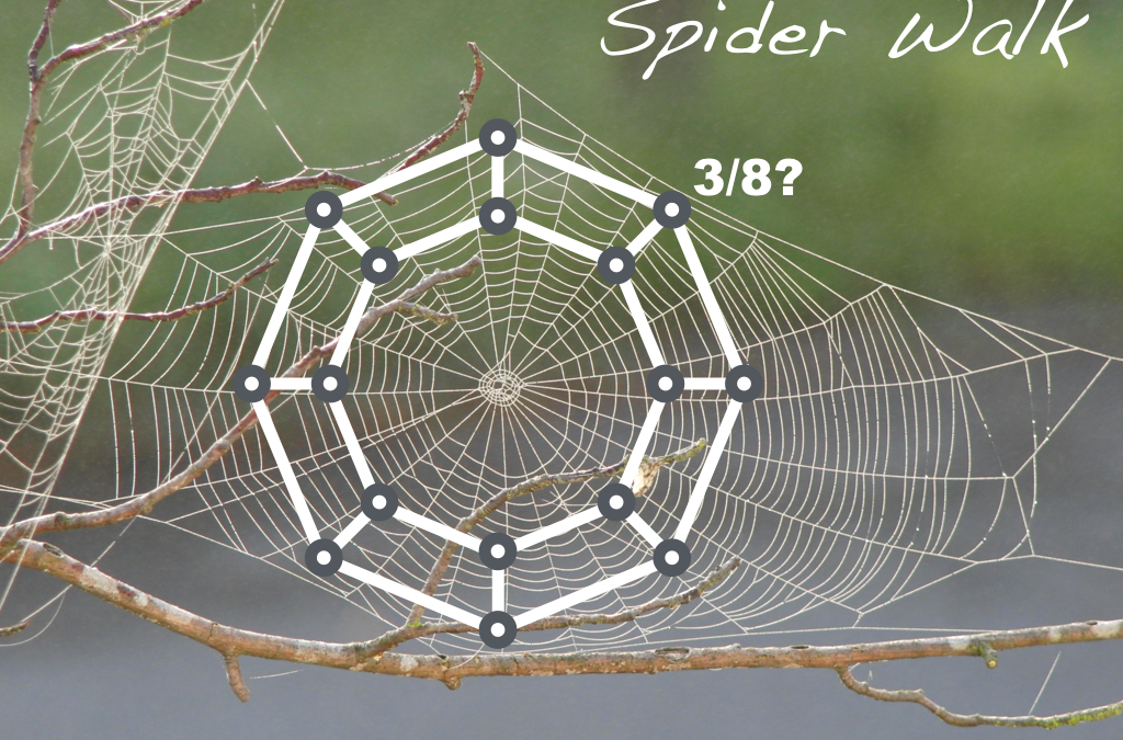 Spider Walk (probability)