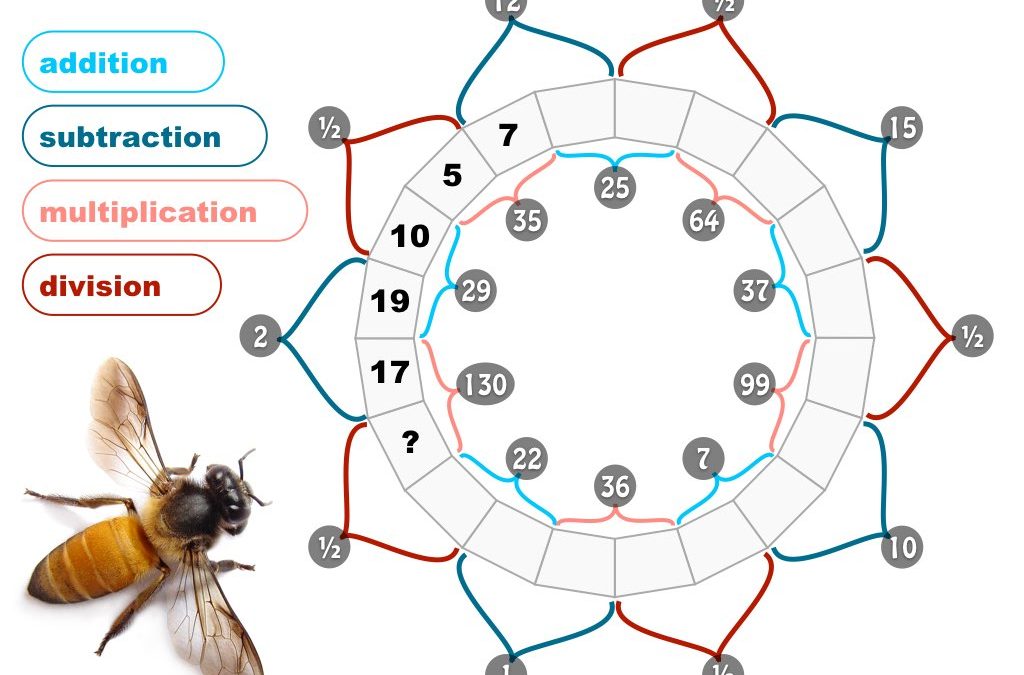 Pollinator Puzzles (multiplication, division)