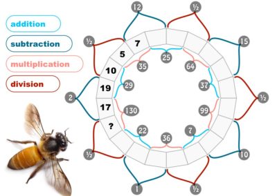 Pollinator Puzzles (multiplication, division)