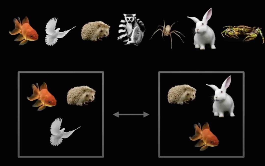 Genetic Labyrinth (combinatorics, logic)