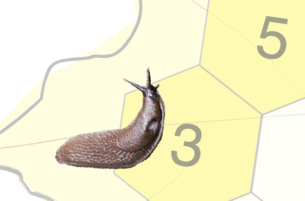 Slug Salad (addition)