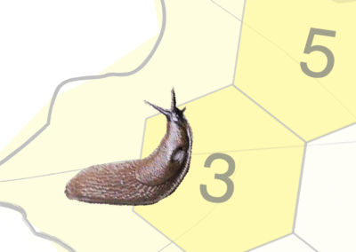Slug Salad (addition)